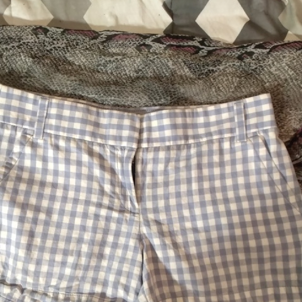 J. Crew Blue and White Bermuda Shorts